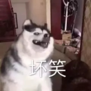 一路火花带闪电