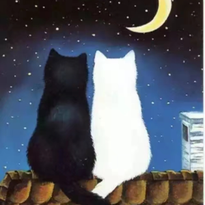 010.话里话外淮安城