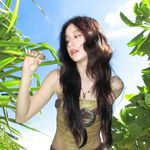 草莓森林-