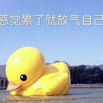 六分君