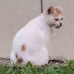 有限状态机