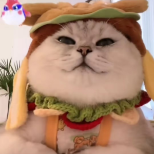 资本市场舆情解读【9月12日】