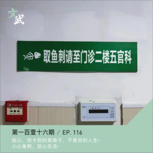 EP116 遇到刺客就去【鱼刺科】年年有鱼的注意事项~