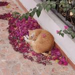 一口吃不成个胖子