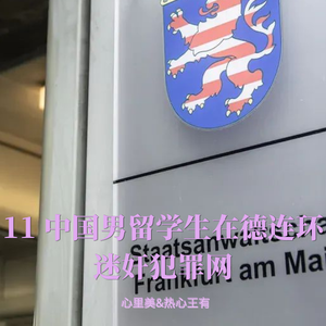 11 中国男留学生在德连环迷奸犯罪网