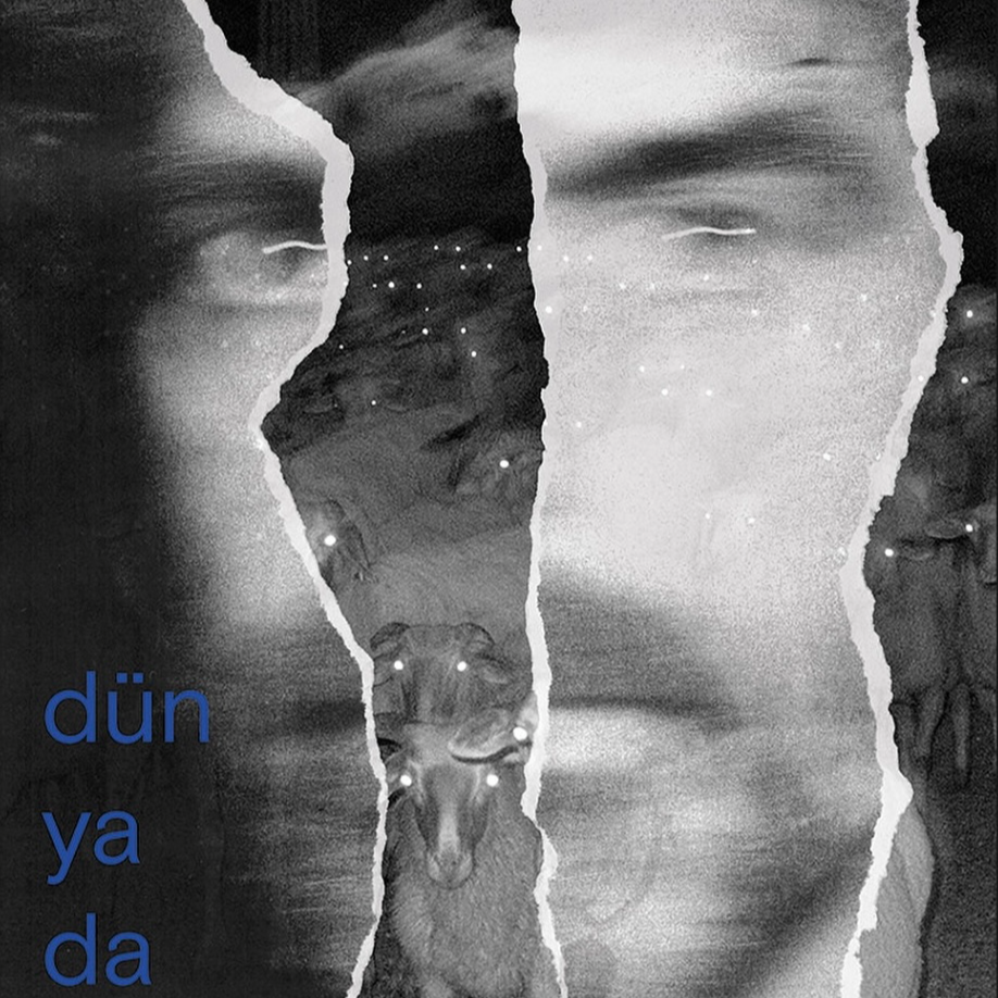 慢速降落 NO VELOCITY