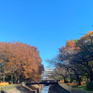 Vol. 8 |二十五度的路灯下