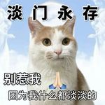 晚安w