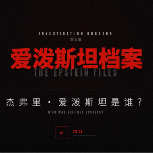 爱泼斯坦档案01：谁是杰弗里·爱泼斯坦？
