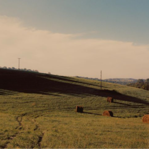 035.亲戚真的是如他们表达那样，关心，在意你吗？