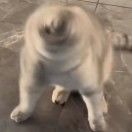 一两糖