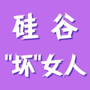 硅谷“坏”女人