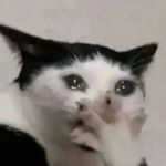 画画好难