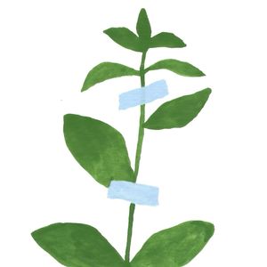 podcaster-avatar