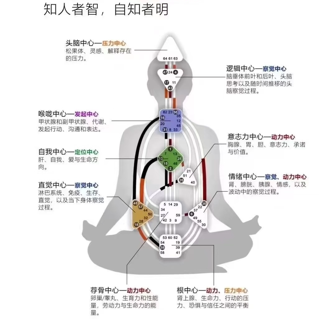 Vol.12 我的人生使用说明书|人类图 episode artwork