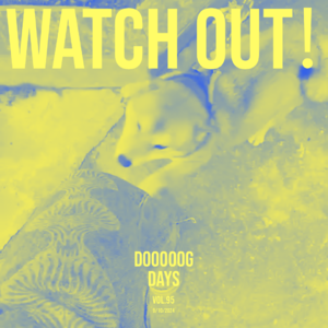 vol.95:小心,这首歌里有埋伏!