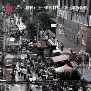 Vol：132 情怀：上一辈的日常，下一辈的念想