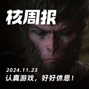 认真游戏,好好休息! 核周报 11.23