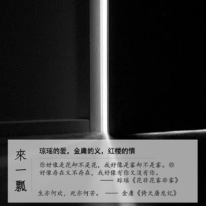 026」再见·琼瑶的爱 金庸的义 红楼的情