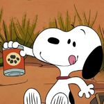 一切皆包有利于我