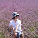 IciAilleurs