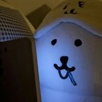 尼姑庵庵主摆烂中