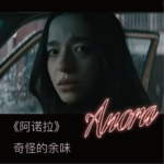 011《阿诺拉》：奇怪的余味