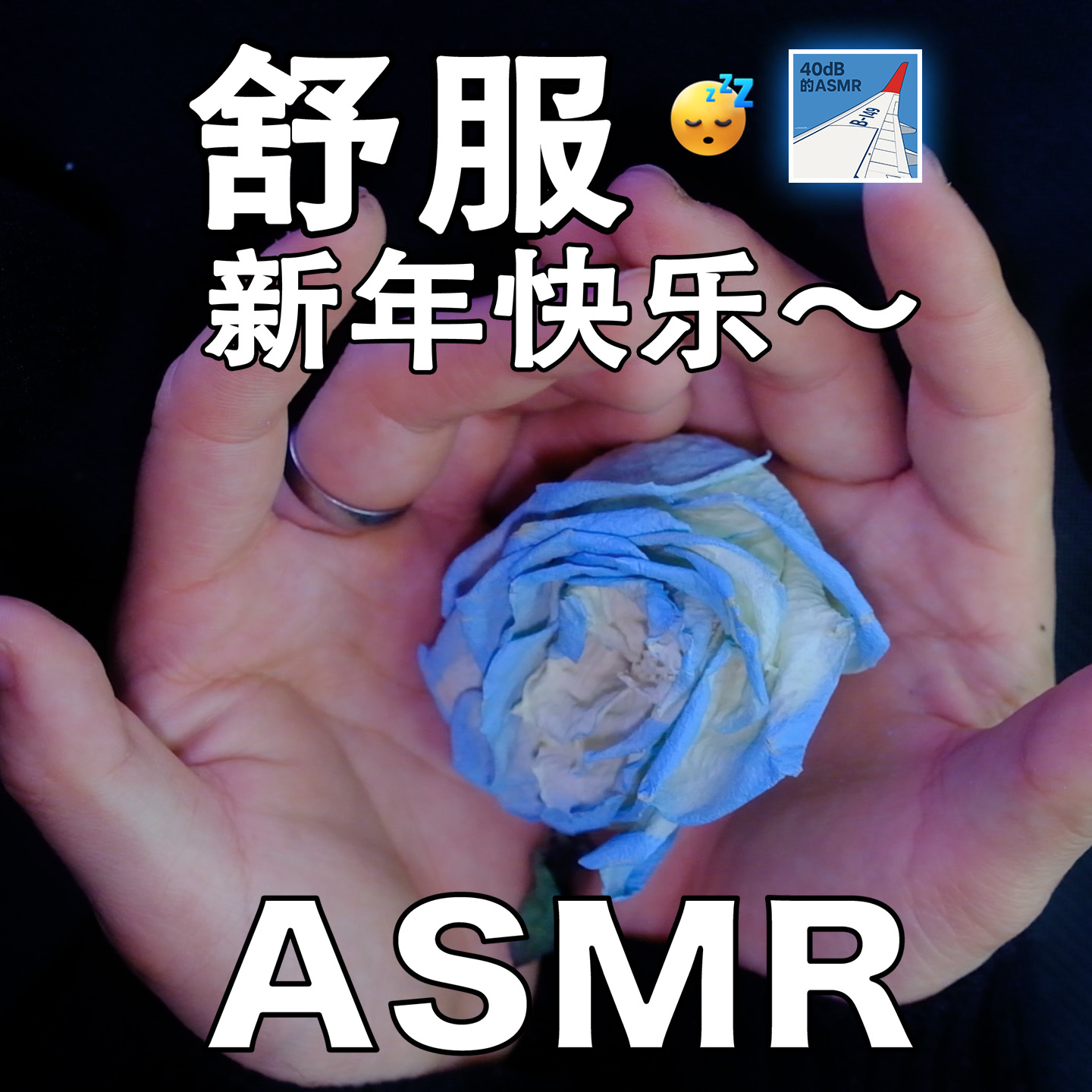 [ASMR-第一人称系列] 2025年最后一期～触发音 episode artwork