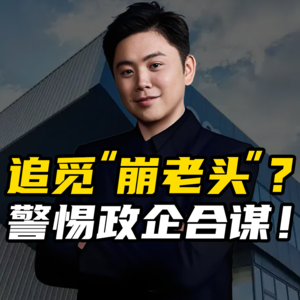 从合肥模式到追觅“崩老头”：政企合作的边界如何把握？