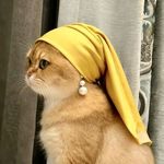 珠江电影制片厂