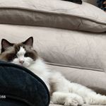Mooost