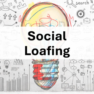 为什么团队越大,效率越低?