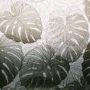 植物主义