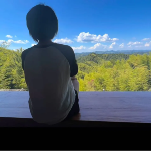 三百六十行 vol.35：蓝信封合规工作者访谈录|秋刀鱼：在法条缝隙栽种春天