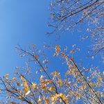 小河流水萌萌哒