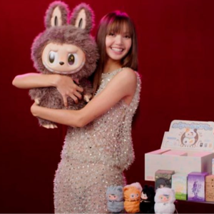 Vol5.我养了2000个“塑料茅台”潮玩：泡泡玛特Labubu们给我带来的情绪治愈