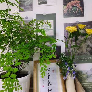 考研，必上岸！2025年，我来了！