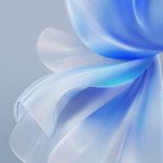 野猪佩奇咕咕咕