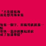 浣熊席地而坐