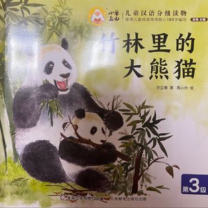 竹林里的大熊猫