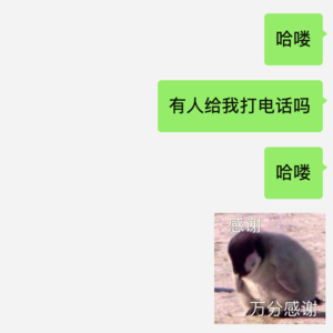 22 建议是对「孤独」视而不见