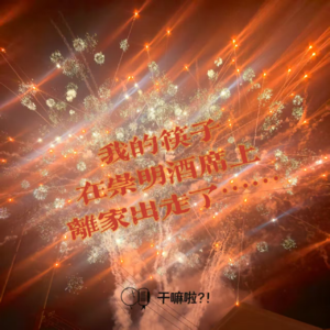 116 干嘛啦|我的筷子,在崇明酒席上离家出走了|崇明酒席太顶了!真的太!顶!了!