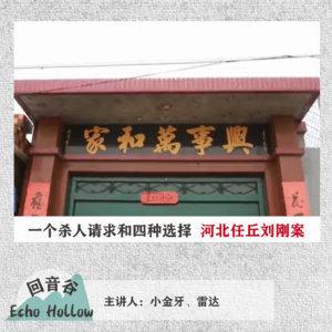 EP05 一个杀人请求和四种选择 | 河北任丘刘刚案