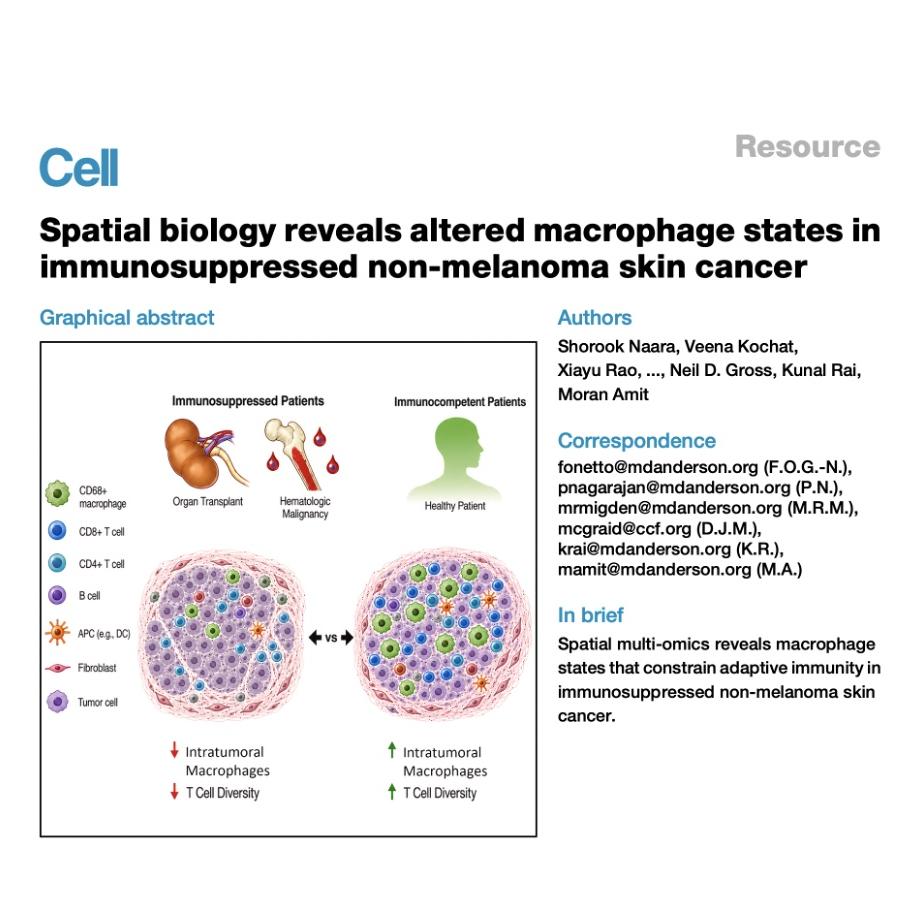 1565-Spatial Remodeling of Skin Cancer Microenvironment episode artwork
