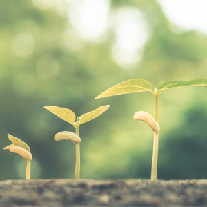 Vol.21 520在即，聊聊“共生型陌生化”亲密关系