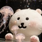 禾禾禾禾禾禾禾禾禾禾