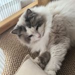 探头探脑的小朋友