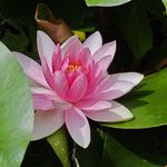 听播客2512