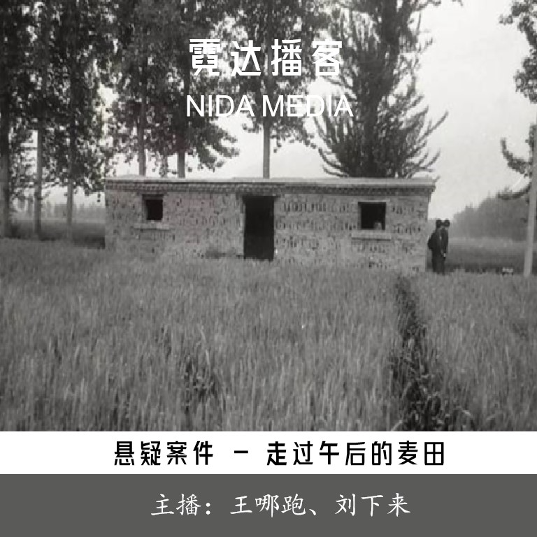118. 走过午后的麦田