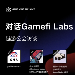 公会访谈系列第五期:对话 Gamefi Labs公会